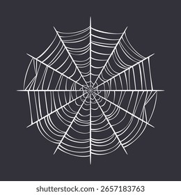 Spider web isolated on dark background. Vector cartoon illustration.