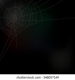 Spider web isolated on dark background, vector illustration
