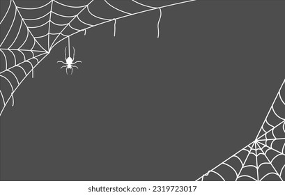 spider web isolated on grey background