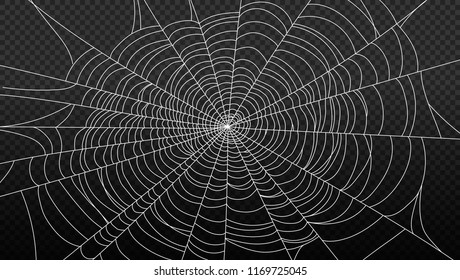 spider web isolated on transparent background vector illustration