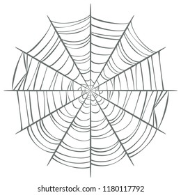 Spider web isolated on white background. Vector illustration.