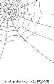 Spider web isolated on white, vector illustration