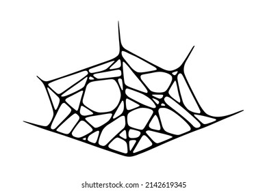 Spider web isolated on white background. Spooky Halloween cobweb. Handrawn vector illustration
