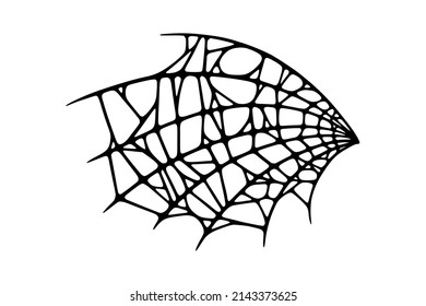 Spider web isolated on white background. Spooky Halloween cobweb. Handrawn vector illustration