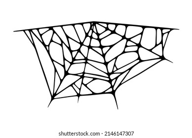 Spider web isolated on white background. Spooky Halloween cobweb. Handrawn vector illustration