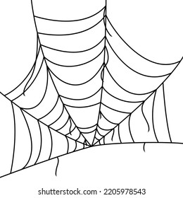 Spider web isolated on white background
