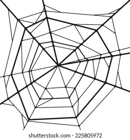 Spider web isolated on white background. vector illustration.