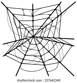 Spider web isolated on white background. vector illustration.