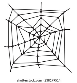 Spider web isolated on white background. vector illustration.