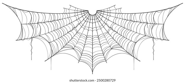 spider web isolated on white vector Eps