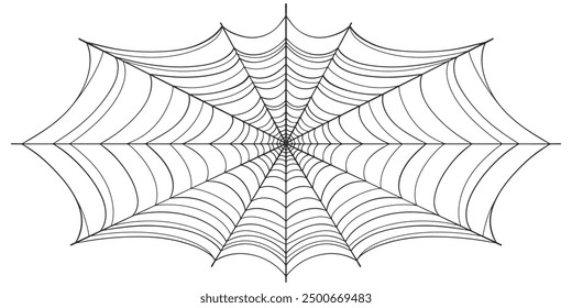 spider web isolated on white vector