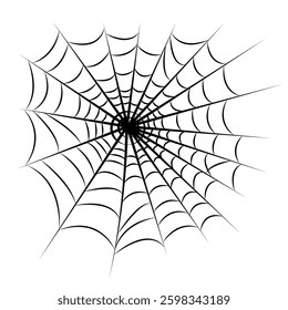 Spider web isolated on white background.