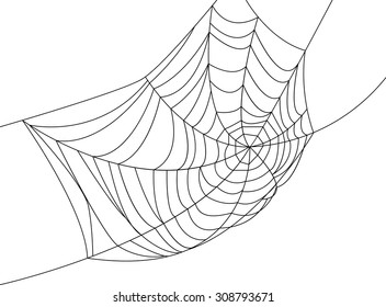 Spider web isolated on white for Halloween design