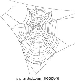 Spider web isolated on white for Halloween design