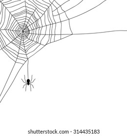 Spider And Web Isolated On White, Vector Illustration