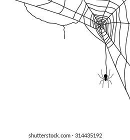 Araña y telaraña aislada en blanco, ilustración vectorial