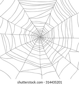 Spider and web isolated on white, vector illustration