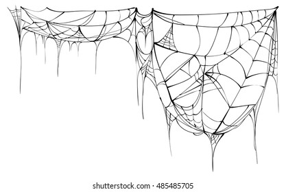 Spider web isolated on white background. Illustration in vector format