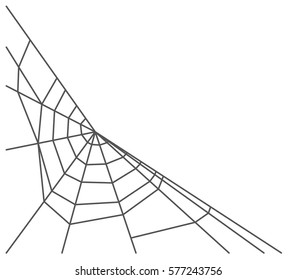 Spider web isolated on white background. Vector illustration