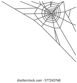 Spider web isolated on white background. Vector illustration