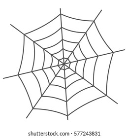 Spider web isolated on white background. Vector illustration