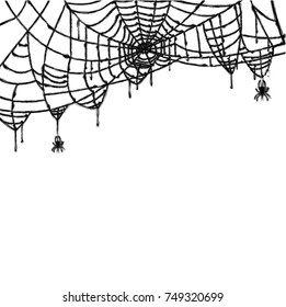 Spider and Web Isolated on White Background. Vector Illustration.