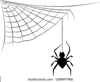 Spider web isolated vector illustration