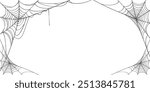 Spider web line art vector Eps