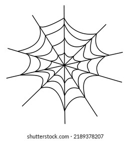 Spider web line art. Vector illustration in doodle technique. Hand drawn isolated on white background 