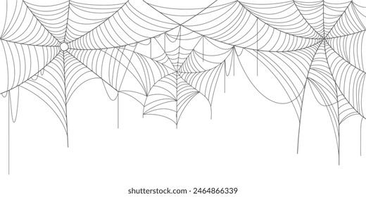 Spider web line art vector	