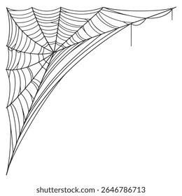 Spider web line art vector eps