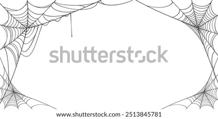 Spider web line art vector Eps