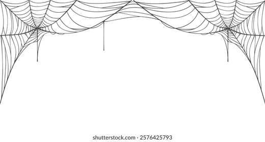 Spider web line frame vector
