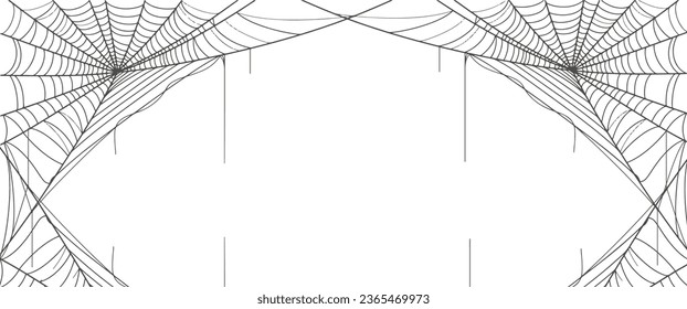 Spider web line vector illustration