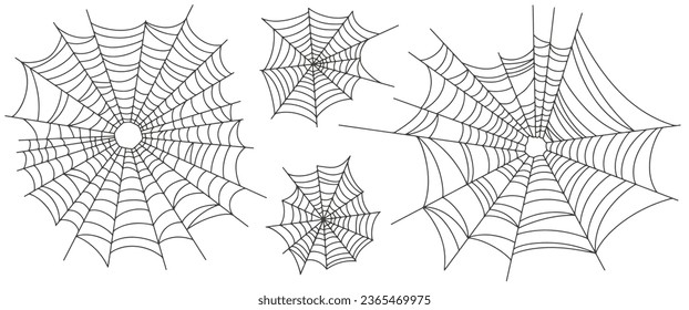 Spider web line vector illustration