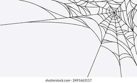 Spider web lines on white background. Minimalist illustration with copy space.