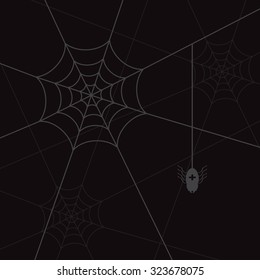 spider web and little spider black eps10