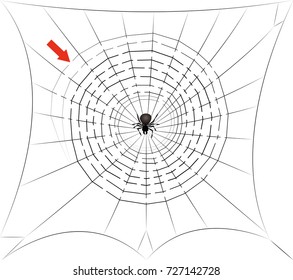 514 Spider Maze Images, Stock Photos & Vectors 