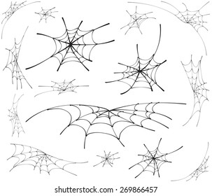 spider web monochrome. vector illustration.