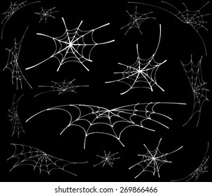 spider web monochrome. vector illustration.