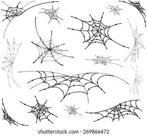 spider web monochrome. vector illustration.