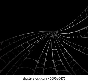 spider web monochrome. vector illustration.