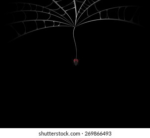spider web monochrome. vector illustration.