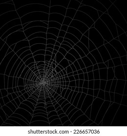 Spider Web Net Background Wallpaper