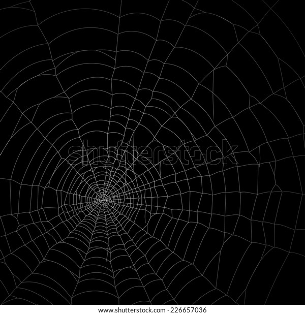 蜘蛛网背景壁纸库存矢量图 免版税