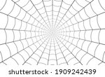 Spider web, net of thread cobweb background