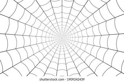 Spider web, net of thread cobweb background