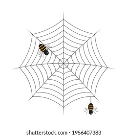 Spider Web Net Vector, Vector spider web and spider on a white background.