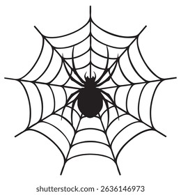 spider web, spider on web, spider and web