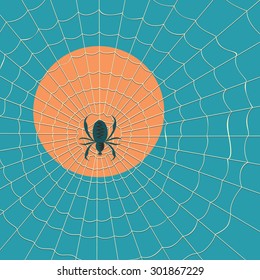 Spider in a web on a background of the setting sun